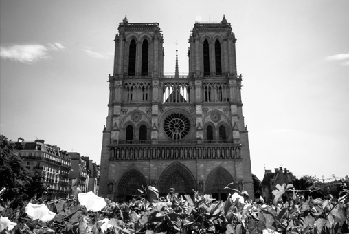 Paris rive gauche, Notre Dame noir et blanc